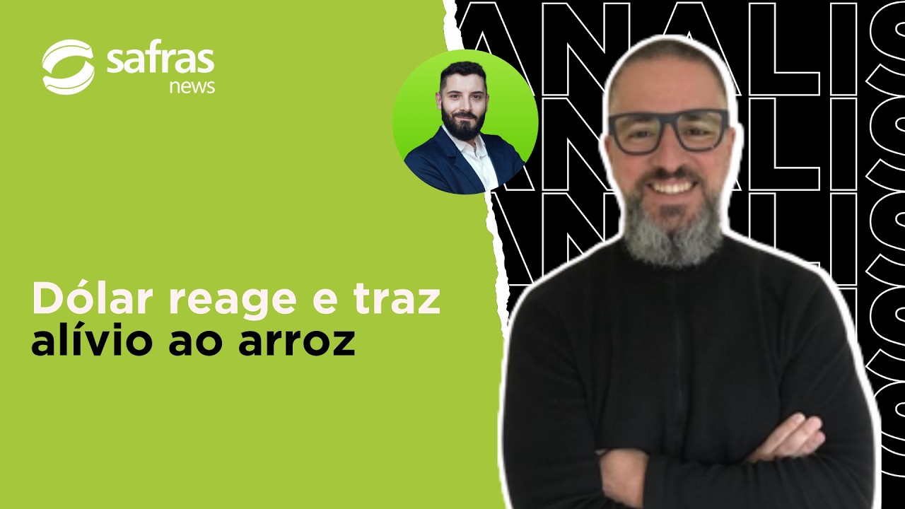 Fluxo exportador melhora, dólar ganha força e mercado de arroz respira