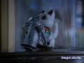 Eveready - Fortune Cat Eveready - Fortune Cat