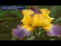 Naruto English Episode 48 Part 2.mov
