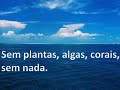 SOS MUNDO AZUL