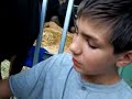 How to Milk a Goat: Sam Allen
