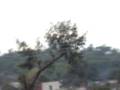 100_2708.MOV