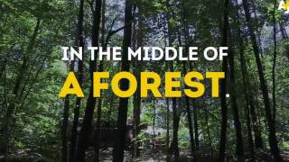 Preescolar en los bosques de Alemania.