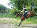 videos de Bucked off Charly cross country