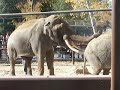 My trip to the zoo