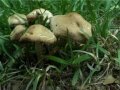 LEES DIT VOORDAT JE GAAT KIJKEN!deze film kan als schokkend ervaren worden door het vele drugsgebruik, de verkrachtingen, de zelfmoordpogingen en het vloeken. Alles wat je ziet is suggestief.en kijk ook nog even deel 1 voordat je dit deel gaat kijken. Niets in de film moet serieus genomen worden want het gaat helemaal nergens over, het gaat gewoon om de lol.