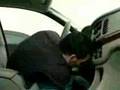 Monkey Car Alarm