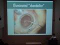 Dr. Robert Devenyi - Behind The Scenes - Part 4