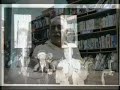 32 aniversario ava  la historia negra del barrio 5parte