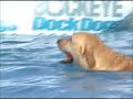 Buckeye Dock Dogs competition