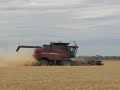 Harvesting at Branglebar NSW Australia 2008