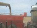 Harvesting at Branglebar NSW 2008
