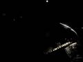 videos de Team of Darkness Manssion Nochevieja