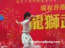 慶回歸龍獅武術大匯演 - 武術表演-2  中環遮打道 2007.6.17  大香港旅遊王 Big Hong Kong Travel King  大香港節日王 Big Hong Kong Festival King  BigHongKong.com