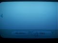 Unofficial USB Ethernet Adapter for Wii