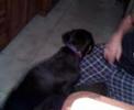 Truco ha crecido