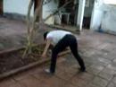 beisebol