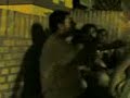 viva el tonto viva el tonto