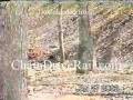 videos de chaindriverailhollow_1.mpg
