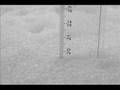 20 cm