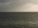 windsurfen