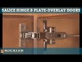 Rockler's Salice Hinge and Plate for Overlay Doors