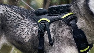 AirLeash: Worlds First Smart Tension GPS Harness