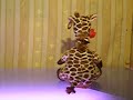 Giraffe Giraffe