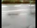 Roubi Hawk