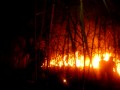 INCENDIO FORESTAL 30 DICIEMBRE 2009 SECTOR VANGUARDIA BOMBEROS VILLAVICENCIO