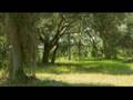 USACE Regulatory Jacksonville District - Spanish