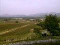 Thailand winery at Hua Hin