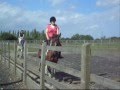 Riding Remix -- for xLoveHorsesx Riding Contest -- F.O.B - Beat It