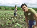 Gensan, Philippines: Pineapple Fields Documentary '08