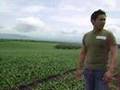 Gensan, Philippines: Pineapple Fields Documentary '08