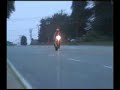 Squid Patrol Squid Patrol