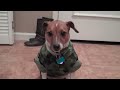 Bruno in Big Brother Boot Camp