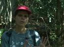 Ecologia de Mamíferos na Ilha Grande / Direção Luiz Duarte