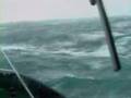 ouessant momo