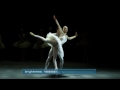 Loewe - Zwanenmeer - Tchaikovsky Loewe - Zwanenmeer - Tchaikovsky