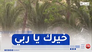 الأرصاد الجوية.. ارتفاع مستوى التساقطات المطرية بنسبة فاقت 200 في المائة مقارنة بـ 2024