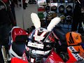 Moto Bike Mania - Timisoara 2008
