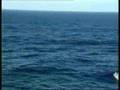 Royal Navy