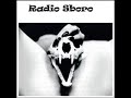 Radio sboro
