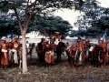 TIMOR LOROSAE