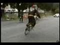 Password NJS Fixed Gear / Track Bike Tricks & Racing