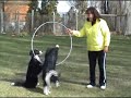 Jump Into Spring