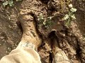 Crossing a muddy field in Rigger Boots