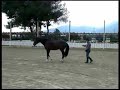 Back Stepping 4