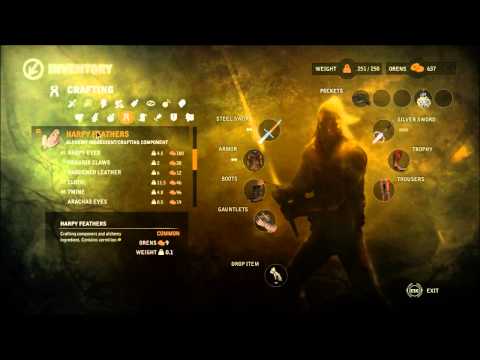 The Witcher 2 : Assassins of Kings